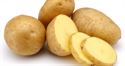 Picture of Potato