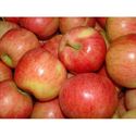 Picture of Royal Gala Apple
